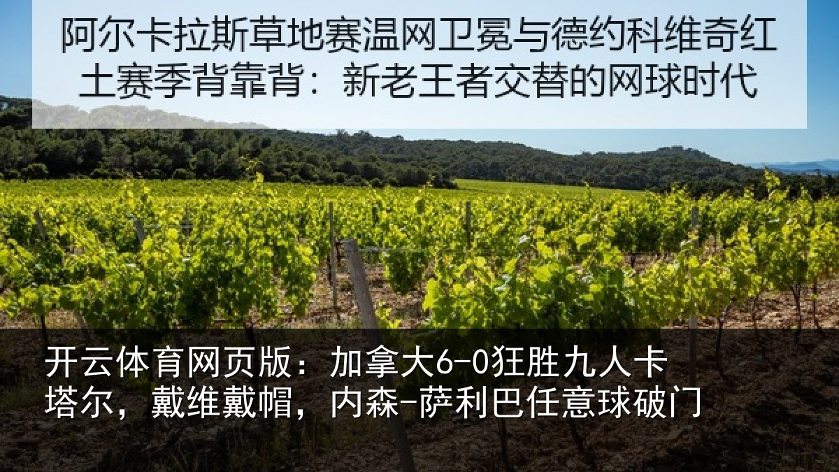 开云体育网页版:加拿相关情况,戴维相关情况意球破门