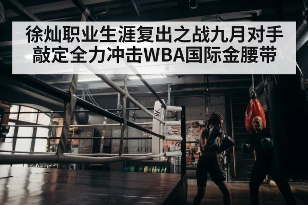 boxer training